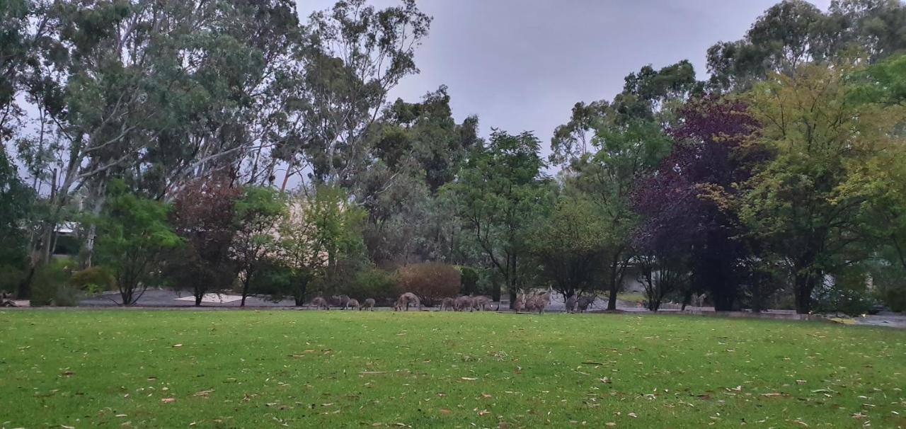 A-Line Holiday Park Bendigo Exterior photo